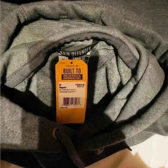 Carhartt Rain Defender Loose Fit Heavyweight Sweatshirt Hoody, NWT - Picture 3 of 4